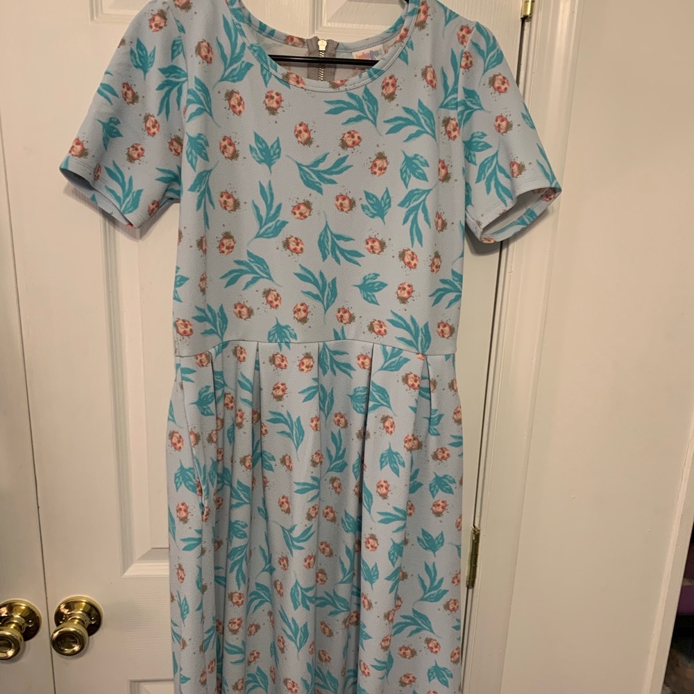 LulaRoe Amelia dress